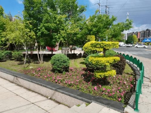 “拆围透绿”建设美丽香坊 七大公园深化精品绿化工程推进绿色生态城区高质量发展