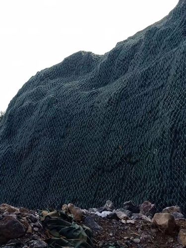 绿色屏障 贵州遵义山体护坡绿化工程纪实